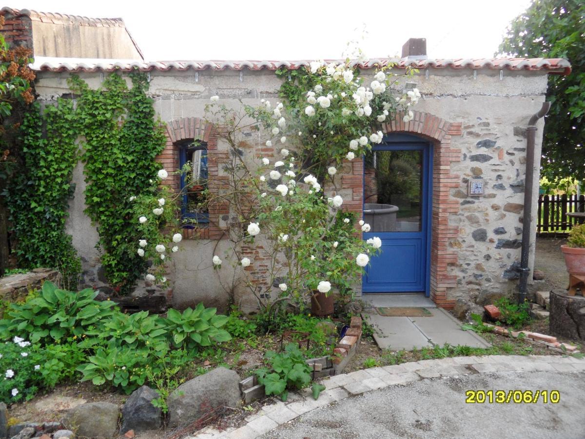 Maison De Charme A Mouzillon - Jardin Et Terrasse Accueillante Екстериор снимка